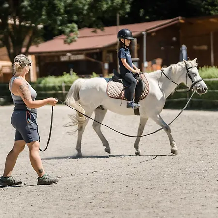 Apart Otel Apartmenthaus Wiesenhof Aschau Im Zillertal