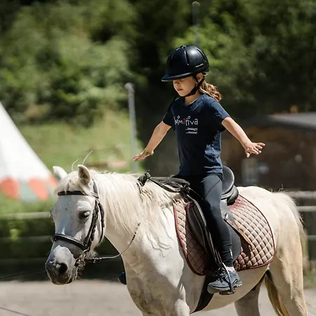 Apartmenthaus Wiesenhof Apartmanhotel Aschau Im Zillertal